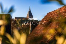 Blick von der Dachterrasse Hochwertiges Stadthaus in Seen�he - Courtagefrei f�r K�ufer