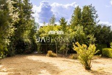Garten Architektenhaus in traumhafter Feldrandlage - Courtagefrei f�r K�ufer