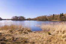 Seezugang Gro�z�giges Domizil in traumhafter Seelage