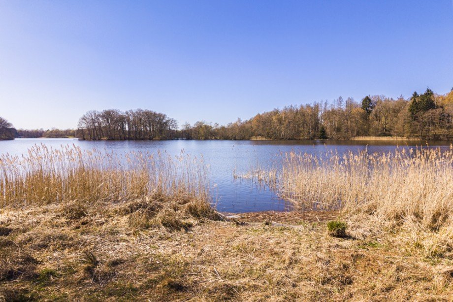 Seezugang Einfamilienhaus Neversdorf