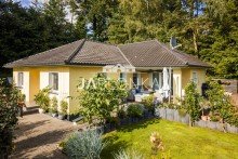 Blick aus dem Vorgarten Moderner Bungalow mit liebevollem Garten - Courtagefrei f�r K�ufer