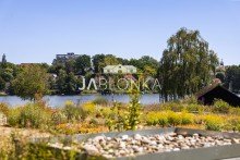 Seeblick von der Terrasse +++ Reserviert +++ Ebenerdiges Wohnen mit Seeblick - Courtagefrei f�r K�ufer